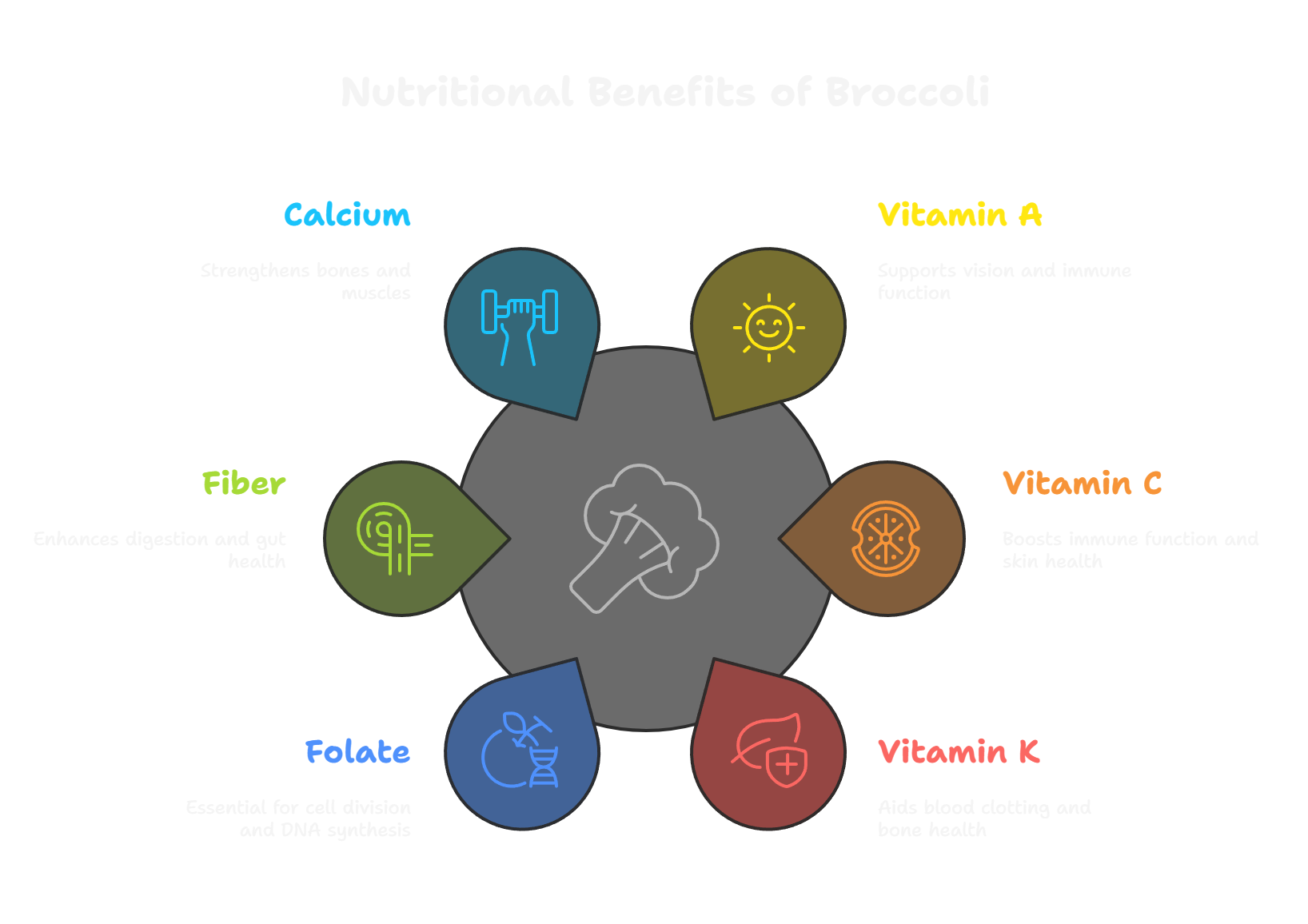 Graph Broccoli Broccoli Nutritional Value